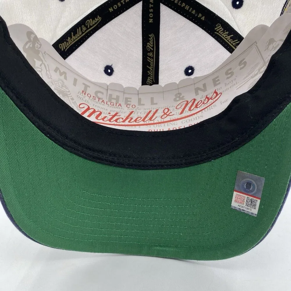 Michigan Wolverines Mitchell & Ness Hat Pro Crown Snapback White Blue NCAA NWOT